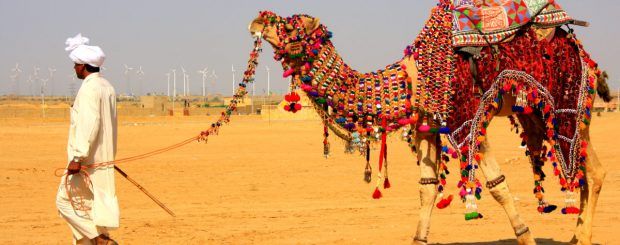 Jaisalmer-Desert-Safari-6_1438939406-1200x707