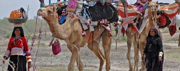 rajasthan-tribal-tour